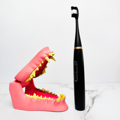 Rarepet CaniLab - Dental Scaler for dogs