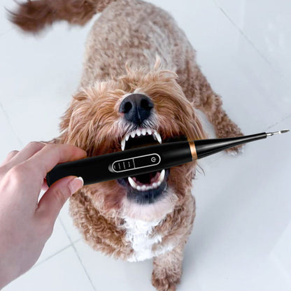 Rarepet CaniLab - Dental Scaler for dogs