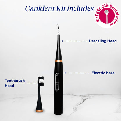 Rarepet CaniLab - Dental Scaler for dogs